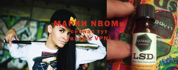 индика Горнозаводск