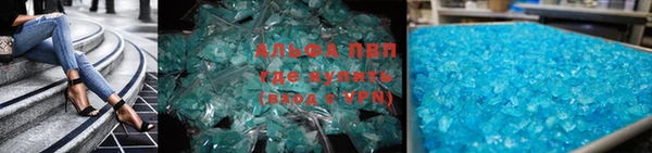 прущие грибы Вязники