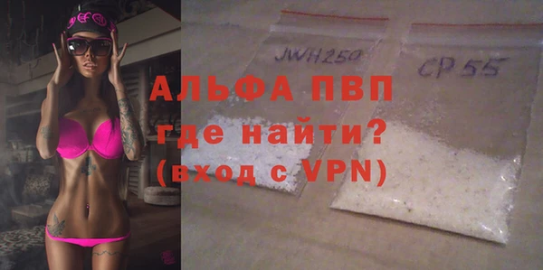 индика Горнозаводск