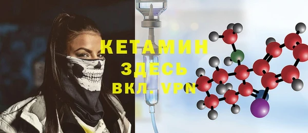 индика Горнозаводск
