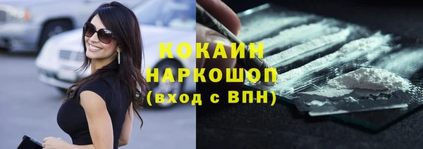 прущие грибы Вязники