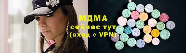 индика Горнозаводск