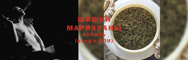 прущие грибы Вязники