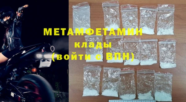 индика Горнозаводск