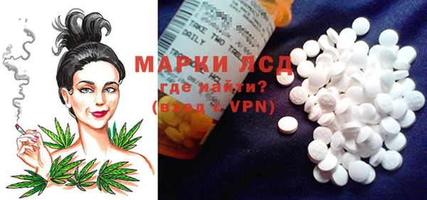 apvp Гусев