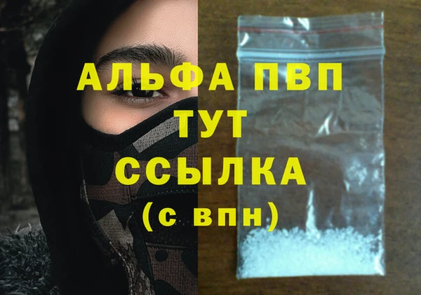 ПСИЛОЦИБИНОВЫЕ ГРИБЫ Гусь-Хрустальный
