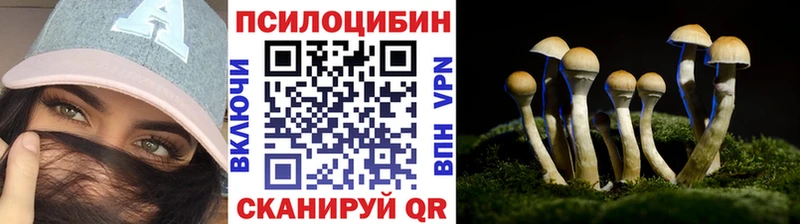 Купить  Правдинск  Псилоцибиновые грибы ЛСД 